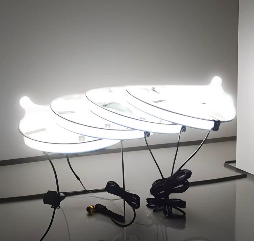 10 row wheel lights