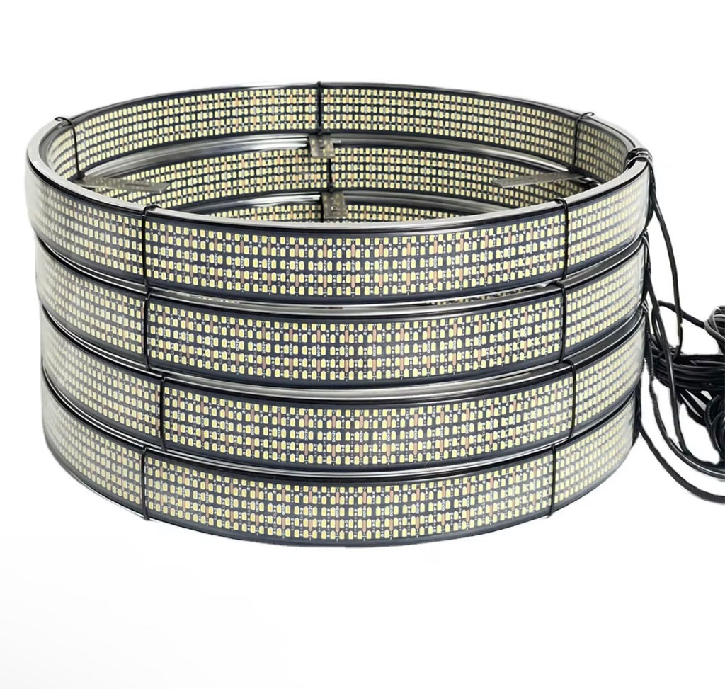 10 row wheel lights