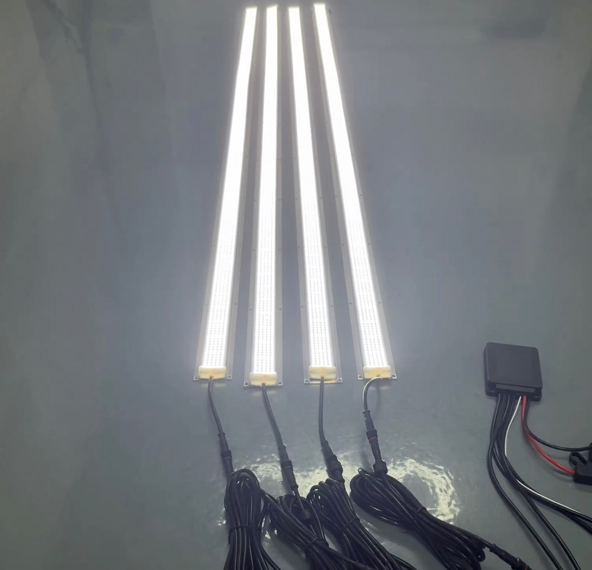 5 Row Frame Strips